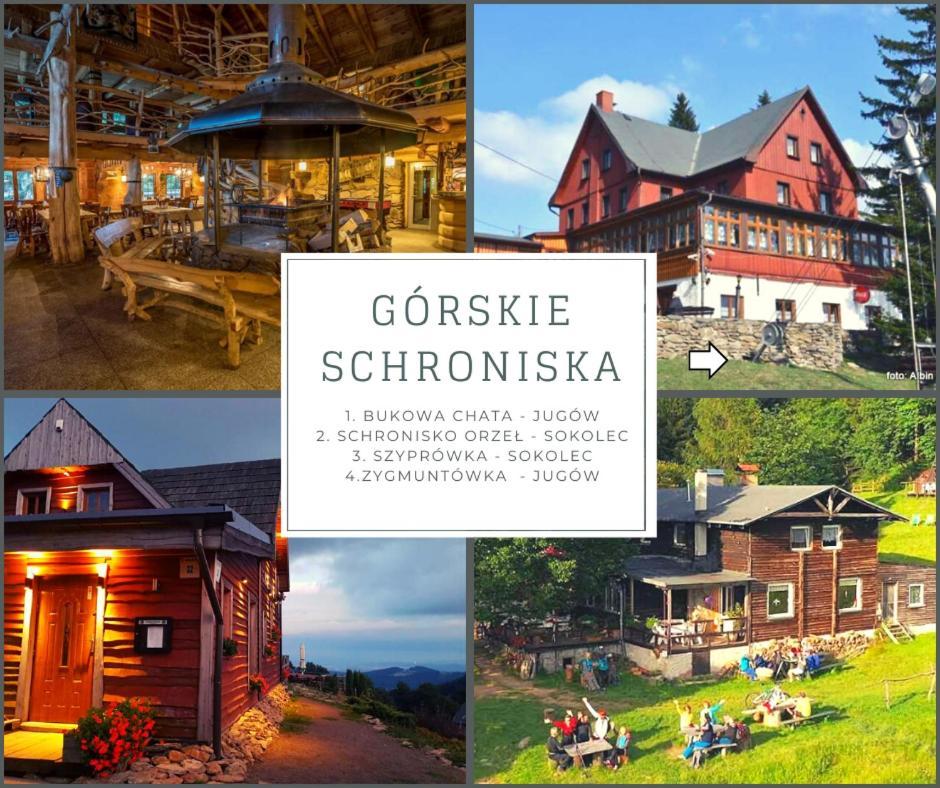 Przestronny Apartament Nr 7 Z Widokiem Na Gory Sowie Bielawa  Exterior foto